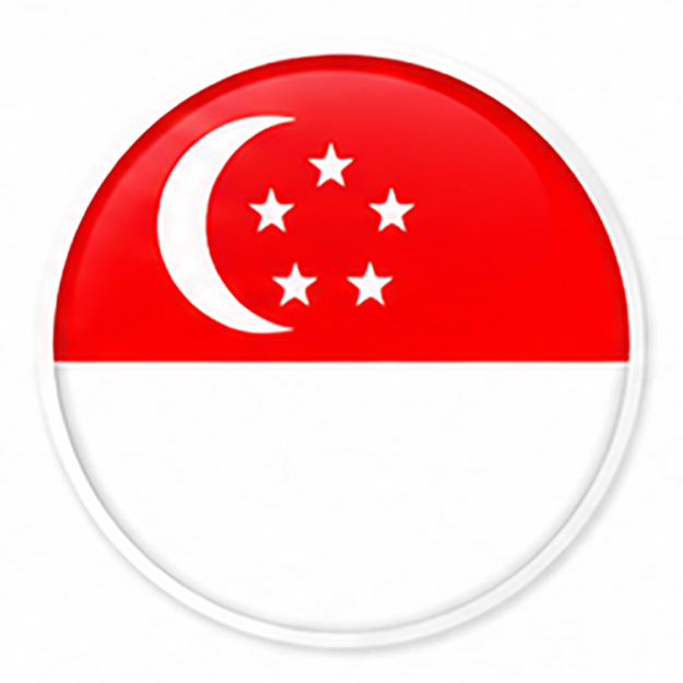Flag 1