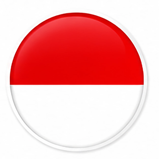 Flag 4