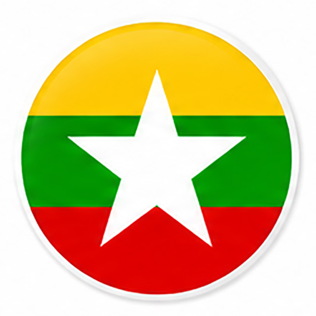Flag 6
